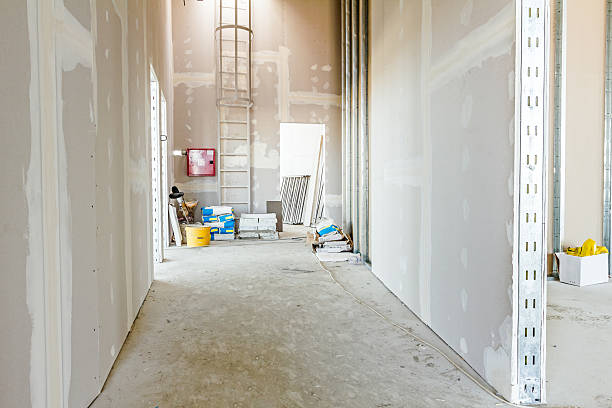 Best Dehumidification Services  in Bala Cynwyd, PA